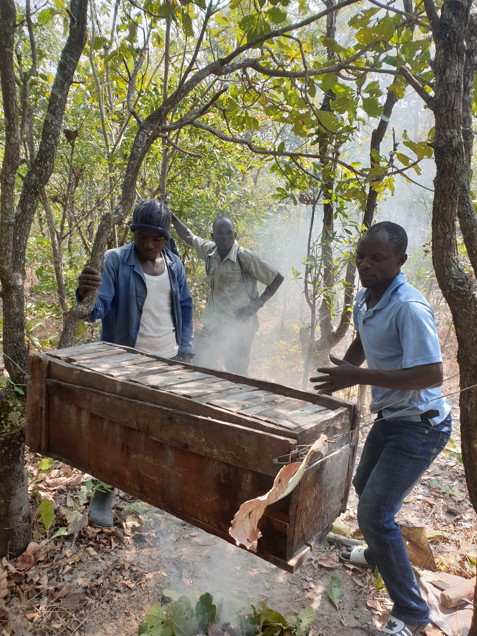 bee-keeping-project-agripreneur-foundation-limited